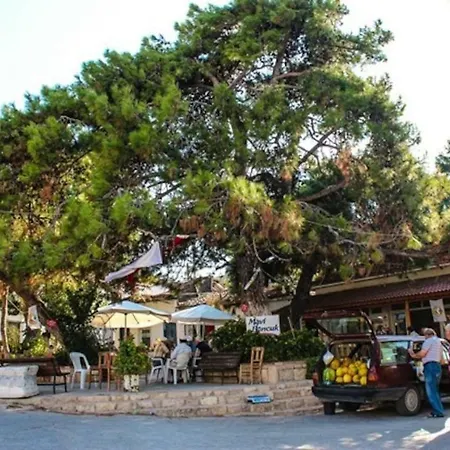Naturel - Topical Natural With Sea Water Pool Σπίτι διακοπών Kosedere